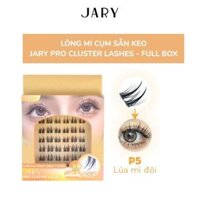 Lông Mi Giả Cụm Có Sẵn Keo JARY EYELASH CURLER - P5 Lúa Mì Đôi Full Box (Hộp Nhựa 6 Hàng)