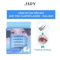 Lông Mi Giả Cụm Có Sẵn Keo JARY EYELASH CURLER - P1 Hướng Dương Full Box (Hộp Nhựa 6 Hàng) [Cty - Full VAT]