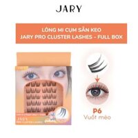 Lông Mi Giả Cụm Có Sẵn Keo JARY EYELASH CURLER - P6 Vuốt Mèo Full Box (Hộp Nhựa 6 Hàng)