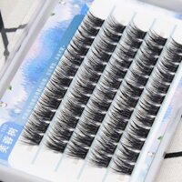 Lông Mi Giả Dày Uốn Phong Cách T50 Cụm Đơn Phân Đoạn Lông Mi Mềm Lười Tự Vẽ Keo Nhíp 3.24