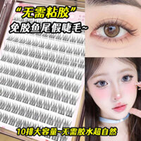 Lông Mi Giả Không Keo Nữ Mô Phỏng Tự Nhiên Cụm Đơn Không Keo Hoa Hướng Dương Tự Dính Laz