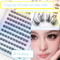 Lông Mi Giả Mắt Ướt Cho Bạn Nữ