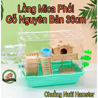 Lồng mica nuôi hamster. Lồng mica phối gỗ size 36cm. Chuồng hamster mica nhà chòi phối gỗ nguyên bản