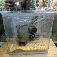Lồng mica size 35x25x35cm phù hợp cho hamster , sóc cảnh nhỏ.... , bò sát .... ( không phụ kiện )