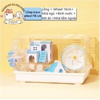 Lồng mica size 47 full phụ kiện, wheel chạy 18 cm  như hình