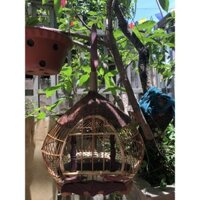 Lồng nuôi chim cu gáy quả đào đẹp mây cửa dơi nóc sơ dừa cao cấp siêu bền