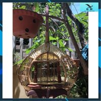 Lồng nuôi chim cu gáy quả đào đẹp cửa dơi nóc đan mây cao cấp đẹp giá rẻ Phụ kiện lồng chim GH
