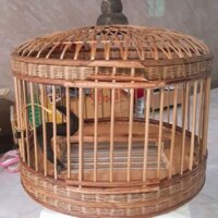 Lồng nuôi chim cu gáy