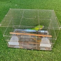 Lồng Nuôi Chim Yến Phụng Loại Nhỏ  ⚡HÀNG CÔNG TY⚡, Lồng Chứa Inox Nuôi Vẹt, Sóc Siêu Bền Đẹp Kích Thước 47x30x30 cm