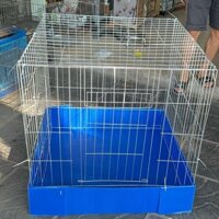 Lồng nuôi gà, chó, mèo… kích thước 80x80x80, khoảng cách nan 4cm