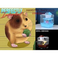 LỒNG NUÔI HAMSTER 2 TẦNG SIZE 24 x 17 x 30CM