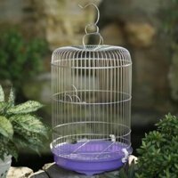 Lồng nuôi khuyên, hút mật inox kích thước 23x44 cm cám  chim