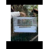 lồng nuôi mèo chó chim giá gốc