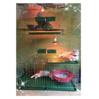 Lồng nuôi mèo, chuồng nuôi mèo công nghiệp 50cm x 50cmx 100cm Lồng 4 kg nan thưa