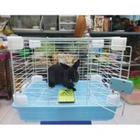 LỒNG NUÔI THỎ, BỌ... BIG SIZE