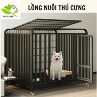 Lồng nuôi thú cưng, chuồng chó mèo nhập khẩu cao cấp, Lồng nuôi chó mèo size lớn