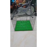 lồng nuôi.mèo,chó,thỏ,bồ câu,gà,chim 50 vuông +khay lót  giá 150k