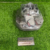 Lòng Shark 54 Yaz 125