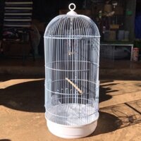 lồng sơn tĩnh điện nuôi chim to đẹp