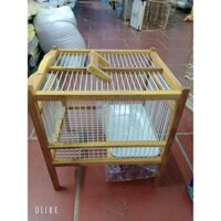 Lồng tắm chim bóng vàng kèm theo khay  loại đẹp 28x35x35