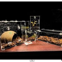 Lồng tank mika cỡ 40-60cm cửa trước cho bò sát , nhện ,côn trùng .... - Chuồng lắp ghép