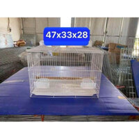 Lồng tập chung dành cho chim vành khuyên -hút mật