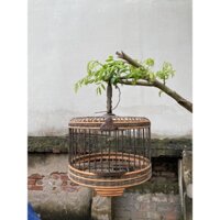 Lồng Thổ Bắc Giang nan lụi