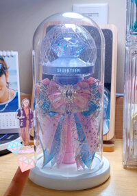 Lồng thủy tinh trưng bày Lightstick KPOP