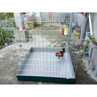 Lồng úp gà chọi 100 X 100 X 80 CM kèm khay nhựa