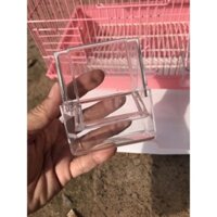 lồng vẹt, yến phụng, love bird