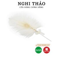 Lông vũ trang trí , chụp ảnh anhkhang