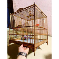 Lồng Vuông Đấu Chào Mào Full Phụ Kiện 37x37x40 Tự Ráp