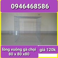 lồng vuông gà chọi 80 x 80 x 80