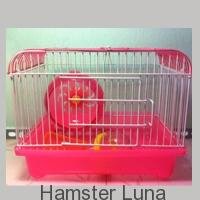Lồng xách tay vuông cho hamster ” đáy sâu”