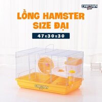 Lồng xì trum hamster size đại