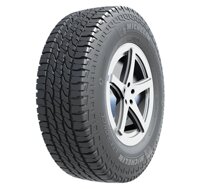 Lốp Michelin 285/65R17 LTX FORCE