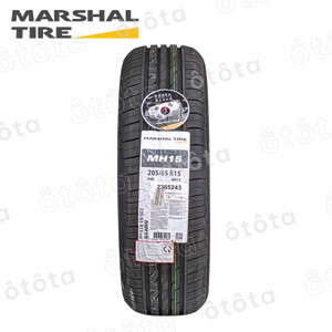 Lốp ô tô GT Radial 205/65 R15 94H CHAMPIRO BXT PRO