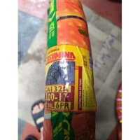 Lốp xe máy 300 - 17 Casumina chính hãng ( viền xanh lá )