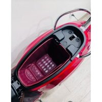 Lót cốp xe điện vinfast EVO