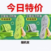 Lót Giày thoáng khí chống mùi mẫu mới cho nam và nữ ngải cứu kháng khuẩn khử ẩm hút mồ hôi massage sốc Lót giày thể thao