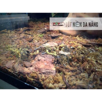 Lót nền bò sát - khử mùi phân, thẩm mỹ, tiện ích - giá thành rẻ, tốt, được ưa chuộng - Rùa Cạn, Rồng, Ếch, Tắc Kè, Kỳ Đà