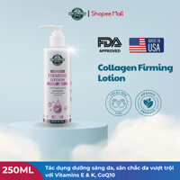 Lotion Collagen Trẻ Hóa, Cấp Ẩm, Căng Bóng  Dưỡng Trắng Da Body Hollywood Style 250ml