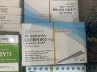 Lozibin 500mg