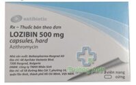 Lozibin Azithromycin 500mg Bulgaria (H/3v)