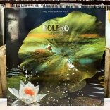 LP Sông Quê - Nhạc Tình Bolero 4 - Nhiều Ca Sĩ (KC) (Đĩa Than Nhạc Vàng)