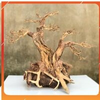 Lũa Bonsai C30xD36 cho bể thuỷ sinh - xưởng Online37