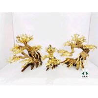 LŨA BONSAI CHO HỒ THỦY SINH SIZE NHỎ