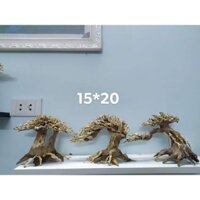 LŨA BONSAI MINI KÍCH THƯỚC 12X15 VÀ 15X20 CHO HỒ THUỶ SINH (Hồ < 40cm)
