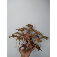 Lũa Bonsai Mini kiểu dáng xoè Trang Trí Bể Cá - Bể Thủy Sinh (C:30cm D: 40cm)