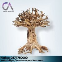 lũa Bonsai Mini Trang Trí Bể Cá - Bể Thủy Sinh (D:20cm C: 15cm)